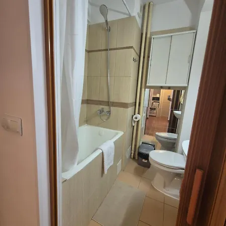 Cozy Loft Center Daire Bükreş
